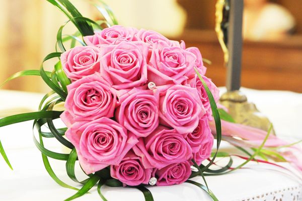 hochzeit-00482302B955-B06B-962D-2758-4349A78894F6.jpg